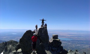 ENREDANDO POR EL ALMANZOR