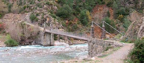 puente-janovas