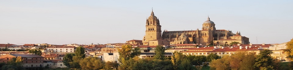 Diapositiva1 Diapositiva1