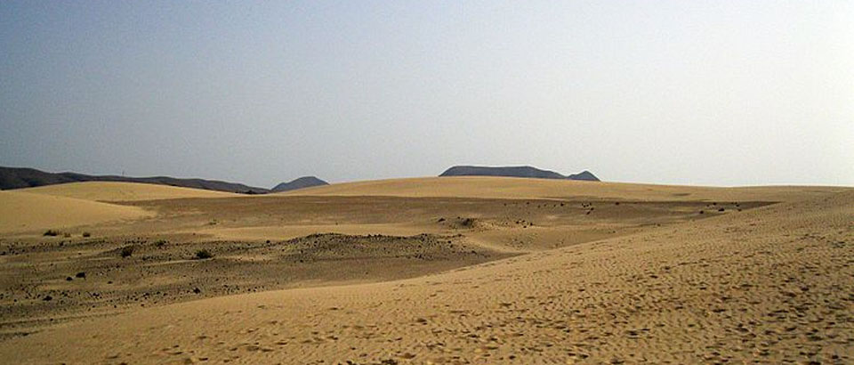 Desert amplio