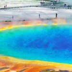 Los-turistas-pasean-por-el-par_54396215736_51351706917_600_226