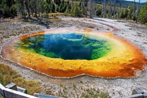 Morning Glory Pool is a hot spring in the Upper Geyser Basin of Yellowstone National Park in the United States