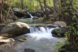 2011-03-26-cascada-rc3ado-de-la-miel