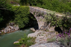 pxl_1d2f247e5d9d8aa9a2af51d266bf6931