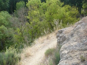 1012196_474100642674205_1416763556_n