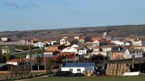 45249_1312131220061822291