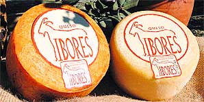 Gastronomia Gastronomia