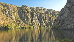 Diapositiva 2 Diapositiva 2