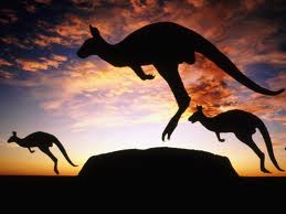 Kanguro, descubriendo Australia. Kanguro, descubriendo Australia.