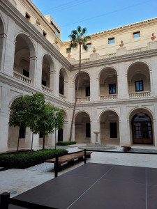Museo de Málaga. Patio interior con palmera