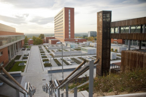 5-2019-02-10-2018_07_18_deic_GaHa (4)