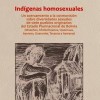 Indígenas homosexuales