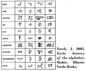 Fig. 1 Evolución del cuneiforme (Naveh 2005)
