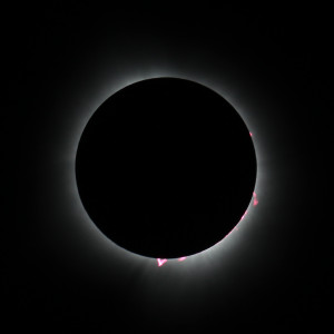 Eclipse 8 de abril 2024 visto desde Indianápolis (USA) 
