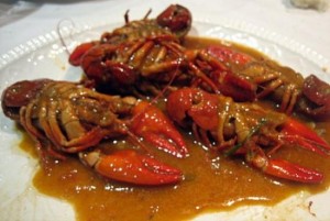 Cangrejos del río Adaja