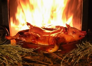 Cochinillo de Arévalo