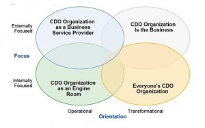 cdo-organizacion