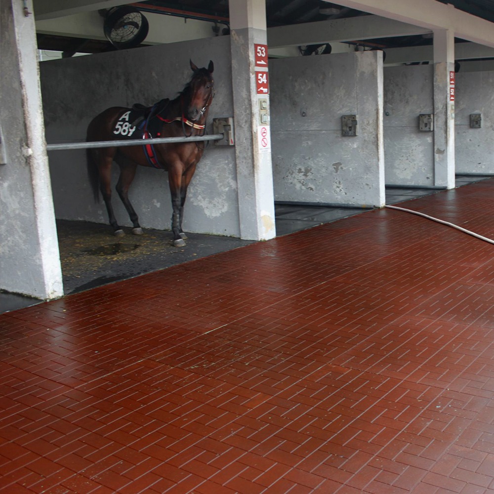La elección correcta del piso para garantizar la salud y seguridad de tus caballos