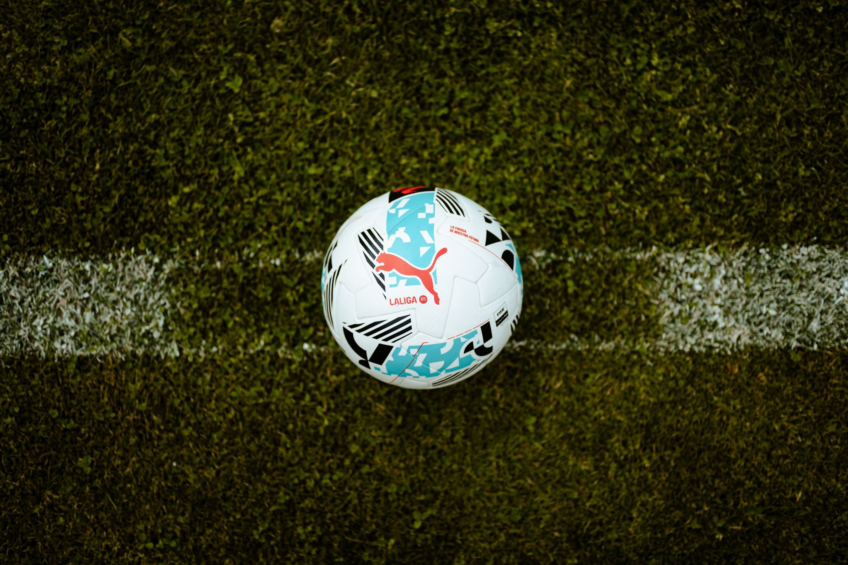 81151ffe822616b76483bfa1d4906946