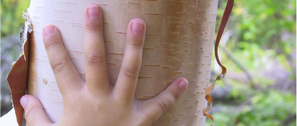 Manina de Marina Manina de Marina