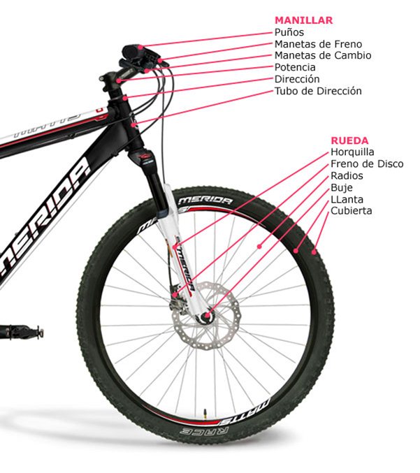 de múltiples fines A veces a veces enlace Partes de una Bicicleta | BikeCity