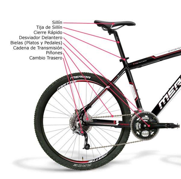 de múltiples fines A veces a veces enlace Partes de una Bicicleta | BikeCity