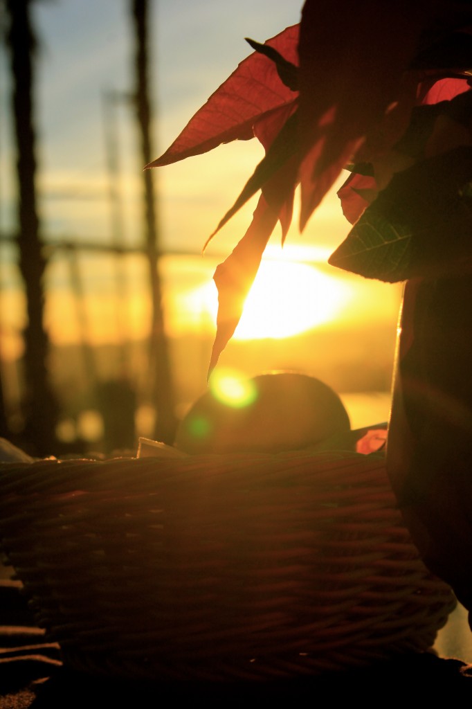 MI VIDA EN ESPAÑA Y LA TEA DE NUESTRO FUTURO MI VIDA EN ESPAÑA Y LA TEA DE NUESTRO FUTURO