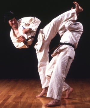 karate3