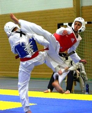 300px-wtf_taekwondo_1