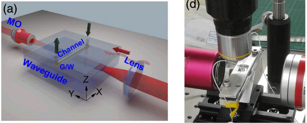 Biosensor desarrollado en base a guías de onda inscritas con laser