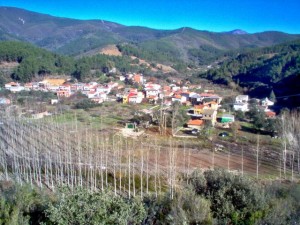 157623-rubiaco-rubiaco