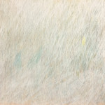 "Principios de simplicidad". Óleo sobre lino. 200 x 240 cm. 2020