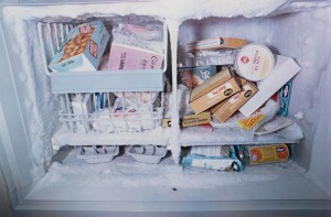 230012_10151311607556433_1528078903_n