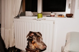 tumblr_muq49bP8fN1rg9zzto1_1280