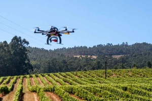 Dron-de-3-edata-en-Terras-Gauda-2q5t-1000x_