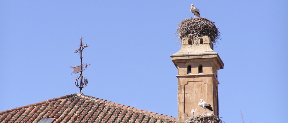 Diapositiva 3 Diapositiva 3