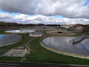 WhatsApp Image 2019-12-12 at 11.53.14