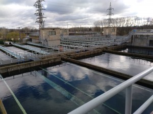 WhatsApp Image 2019-12-12 at 11.53.22