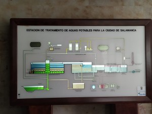 WhatsApp Image 2019-12-12 at 11.56.37