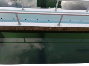 WhatsApp Image 2019-12-12 at 11.59.25