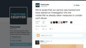 Página de perfil y timeline de Twitter Counter.
