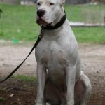 20061022204828_110914_2