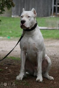 20061022204828_110914_2