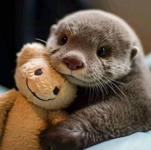 otter_plushie