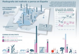 Los-datos-del-maltrato-a-perros-en-graficos_image990_