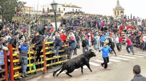 Imagen ICAL255947--660x371