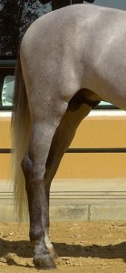 extremidades_inferiores