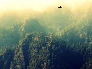 Caldera de Taburiente