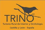 LOGTIPO TRINO
