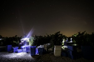 1441121898_126445_1441122213_album_normal